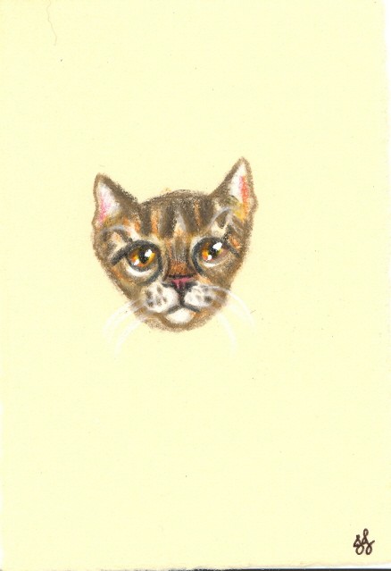 brown tabby colored pencil drawing OOAK original NOT a print