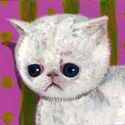 Print of sad Allergic cat