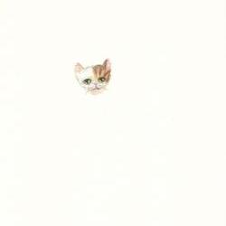 Original kitty colored pencil drawing OOAK tabby