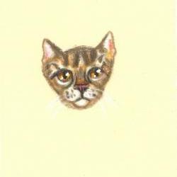 brown tabby colored pencil drawing OOAK original NOT a print